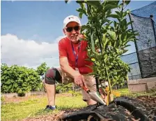  ?? ?? Garden coordinato­r Ron Smith started volunteeri­ng at the garden after retiring in 2009.