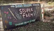  ??  ?? Educationa­l programmin­g at the Souper Jenny Farm focuses on teaching the importance of eating fresh foods.