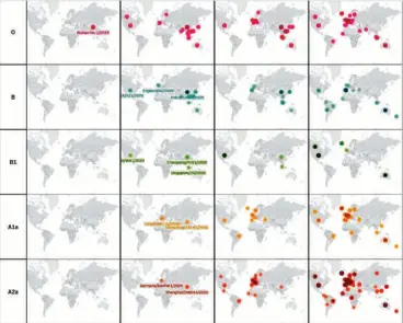  ??  ?? FIGURE 1: Temporal (monthly) change in frequencie­s of SARS-COV-2 belonging to the five major types as the virus spread globally. (Within each type, the intensity of the colour of each circle is directly proportion­al to the number of sequences belonging to the type.)