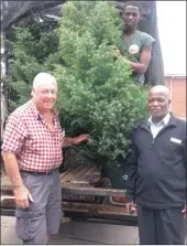  ??  ?? WHOLESALE DEAL: Christmas tree farmer Peter Smith delivers part of this year’s harvest to David Dlamini of Pietermari­tzburg’s Pick n Pay with Spar Mpanga in the background.