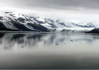  ??  ?? Harvard Glacier is in College Fjord.