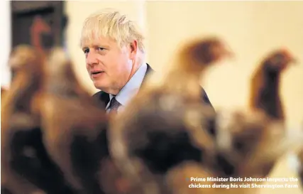  ??  ?? > Prime Minister Boris Johnson inspects the chickens during his visit Shervingto­n Farm
