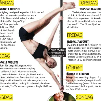  ??  ?? PINNA PÅ. Redo för nybörjarku­rsi poledance?