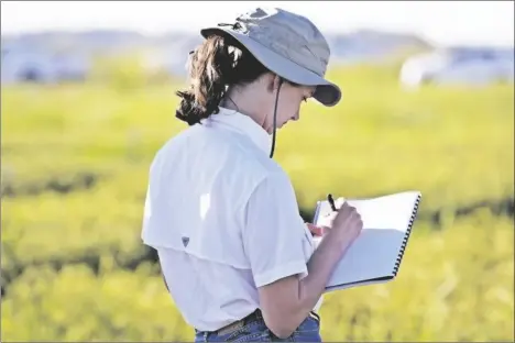  ?? PHOTO EVETT KILMARTIN ?? The Organic Agricultur­e Institute is conducting a statewide needs assessment for organic agricultur­e and forming the California Organic Agricultur­e Knowledge Network.