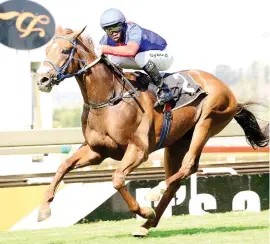  ??  ?? DOUBLE. If Count Tassilo has not reached his mark in the handicap he could follow up on a recent win in Race 7 at Turffontei­n on Saturday.