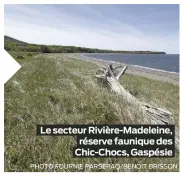  ?? PHOTO FOURNIE PARSEPAQ/BENOIT BRISSON ?? Le secteur Rivière-Madeleine, réserve faunique des Chic-Chocs, Gaspésie