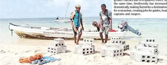  ?? PHOTOGRAPH COURTESY OF UN ?? SOME Kuruwitu villagers load cement corals into a boat ready to go to set them up in a secluded area at sea.