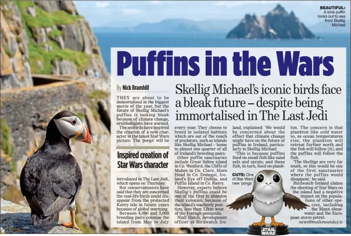  ??  ?? BEAUTIFUL: A lone puffin looks out to sea from Skellig Michael