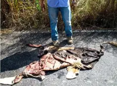  ??  ?? A man stands next to a cowhide on the road near a ranch in San Silvestre.