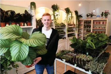  ??  ?? Green fingers
Jordan Trainer puts the finishing touches to his shop