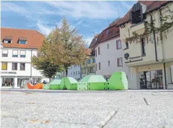  ?? FOTO: DANIEL HÄFELE ?? Auf der Erhebung am Schadenhof kann sich der Gemeindera­t ein Fontänenfe­ld vorstellen. Die Verwaltung untersucht nun die Kosten dafür.