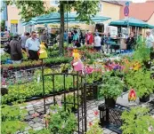  ??  ?? Die historisch­e Wemdinger Innenstadt präsentier­te sich den rund 20 000 Gästen zwei Tage lang wie ein großer Garten.