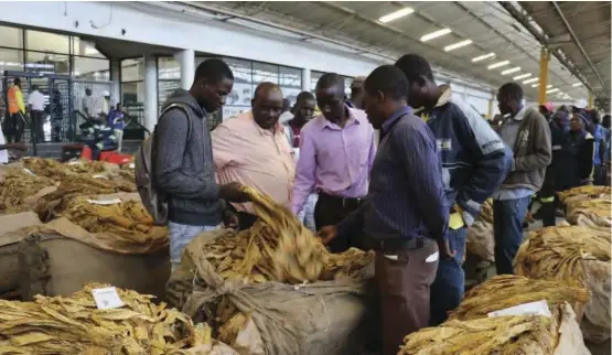  ?? ?? TIMB has introduced new regulation­s for contract tobacco farming to safeguard the integrity of the contract system to ensure that tobacco growers are not short-changed.