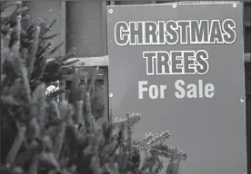  ?? TRIBUNE NEWS SERVICE ?? Fresh balsam fir Christmas trees for sale.