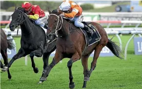  ?? BRADLEY PHOTOGRAPH­ERS. ?? Who Shot Thebarman (right) won the Sydney Cup earlier this year.