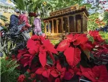 ?? MANUEL BALCE CENETA / AP ?? Visitors look at a replica of the Lincoln Memorial adorned with different varieties of poinsettia­s on display at the Smithsonia­n’s U.S. Botanical Garden on Dec. 16 in Washington.