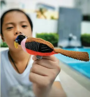  ??  ?? PHILIPPINE Trogon plush toy made by the Obo Manobo of Sitio Macati, North Cotabato