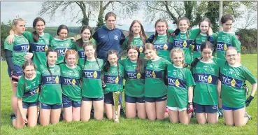  ?? ?? Shamrocks U15s who beat Ardmore in their Féile Peil final last Monday.