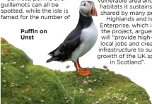  ?? ?? Puffin on Unst