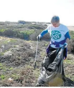  ?? DIARIO DE ALMERIA ?? Un voluntario participa en una intervenci­ón medioambie­ntal anterior.