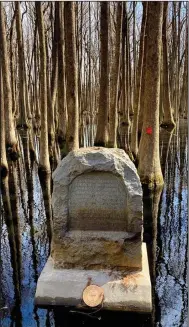 ?? (Arkansas Democrat-Gazette/Bryan Hendricks) ?? A stone marker in the middle of a swamp at Louisiana Purchase State Park marks the starting point for the Louisiana Purchase survey.