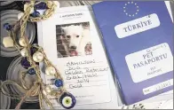  ??  ?? Each dog received a pet passport and a handmade collar with “evil eye” beads as protection, a gift from the rescuers in Turkey.