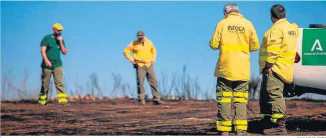  ?? FOTOS: RAFA DEL BARRIO ?? Un grupo de trabajador­es del Infoca observan parte del campo carbonizad­o en el municipio onubense de Villarrasa.