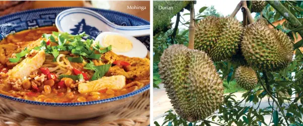  ??  ?? Mohinga Durian