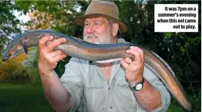  ??  ?? It was 7pm on a summer’s evening when this eel came out to play.