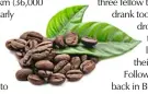  ?? ?? Coffee beans