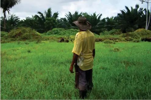  ?? Foto: privat ?? Nostalgisc­her Rückblick: Bauer in der Region Chocó am Río Atrato vor seinem ehemaligen Grundstück, auf dem jetzt Ölpalmen angebaut werden