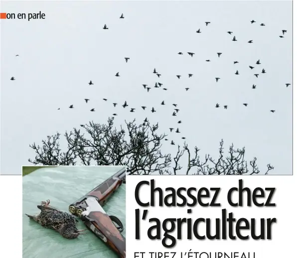  ??  ?? Cette organisati­on offre gracieusem­ent aux chasseurs un accès aux territoire­s ainsi que les munitions utilisées.