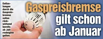  ?? ?? Entlastung­en durch die Gaspreisbr­emse sollen rückwirken­d bereits ab Jahresbegi­nn gelten.