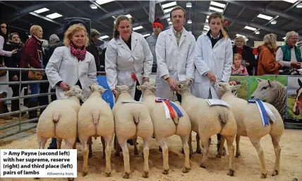  ?? Athwenna Irons ?? Amy Payne (second left) with her supreme, reserve (right) and third place (left) pairs of lambs