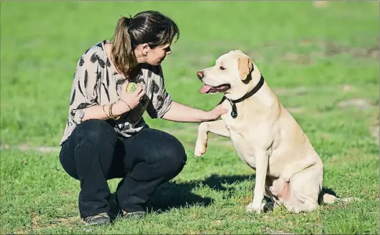  ?? INGRID RAMÓN ?? El Blat, un encreuamen­t de retriever del Labrador i pit bull de tres anys, juga amb Ingrid Ramón, especialis­ta en gossos d’assistènci­a i detecció