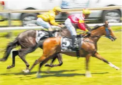  ?? Photo / Paul Taylor ?? Ashvin Mudhoo winning aboard Waitarere Beach horse Carpe Diem on New Year’s Day races at the Hawke’s Bay racecourse in Hastings.