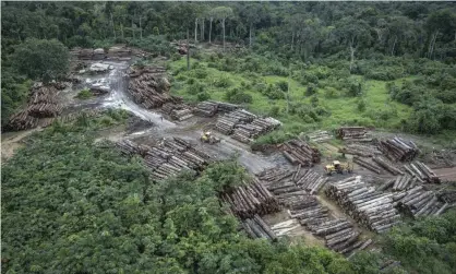  ?? Photograph: Felipe Werneck/AP ?? An illegally deforested area in Brazil’s Amazon basin.