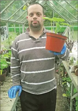  ??  ?? Plant worker: Moishy Hassell at his job at a garden centre