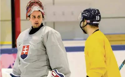  ?? ?? Príchod Jaroslava Haláka na slovenské extraligov­é klziská by bol veľkou udalosťou.
FOTO: TASR/M. SVÍTOK