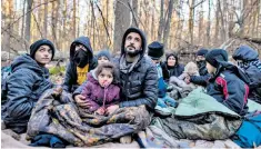  ?? ?? Migrants camp at the Belarus border with Poland near Kuznica, top and Narewka, above