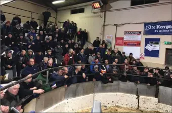  ??  ?? A full house at the recent special weanling heifer sale at Gortatlea Mart.