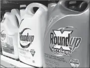  ?? HAVEN DALEY/AP ?? The judge upheld the verdict that Roundup herbicide caused cancer in a couple, but damages were reduced.