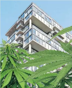  ?? TORONTO STAR PHOTO ILLUSTRATI­ON ?? OneEleven Condos, located on Bathurst St. near King St. W., forbids smoking anywhere on its premises. “It’s about putting in place a legal tool that we have to use if issues come up in the future,” said condo board president Curtis Priest.