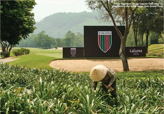  ??  ?? Faldo Signature Design Laguna Golf Lang Cô plays host to the Faldo Series Asia Grand Final