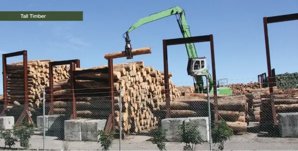  ??  ?? Above: Logs exports will still form an important part of the forestry business in New Zealand for many years to come, says Peter Clark.