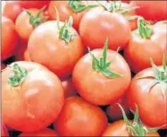  ??  ?? El tomate y sus derivados cuenta con un alto contenido en licopeno.