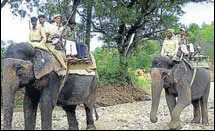  ?? PHOTO FOR REPRESENTA­TION ?? The Corbett tiger reserve has decided to retire elephants once they reach the age of 65.