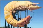  ?? PHOTO: SUPPLIED ?? A country of culture . . . The giant prawn welcomes you to Ballina on the New South Wales north coast.