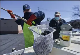  ?? BEN HASTY — MEDIANEWS GROUP ?? Leo Slogaski, left, and Jake Ketterer, both with the state Fish and Boat Commission, prepare to stock the Wyomissing Creek in Cumru Township with trout in February in advance of Saturday’s start of trout season.