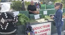  ??  ?? « Je travaille beaucoup mieux ici que sur le cours Louis-Blanc », affirme Habib, producteur de légumes plein champ.